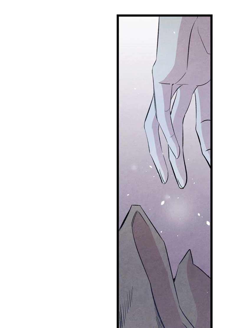 P58