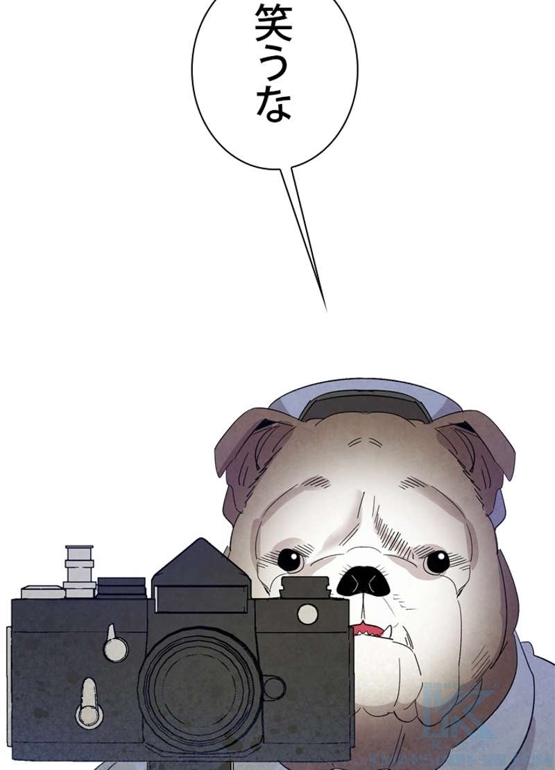 P86