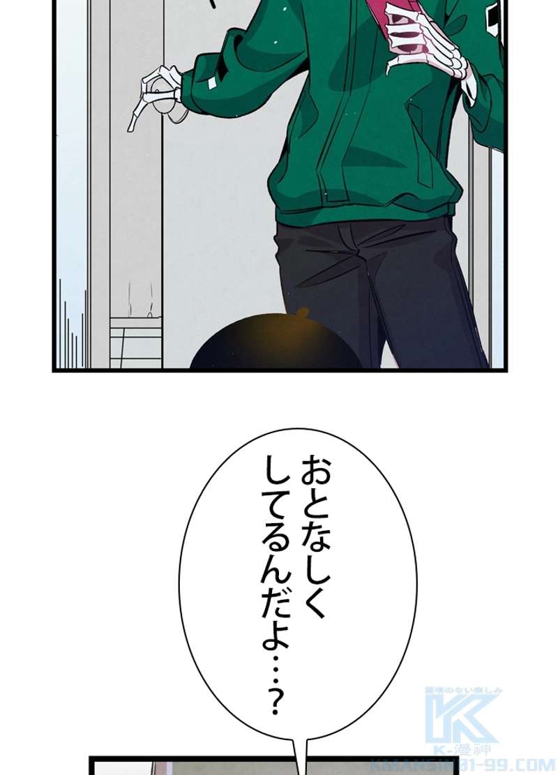 P44