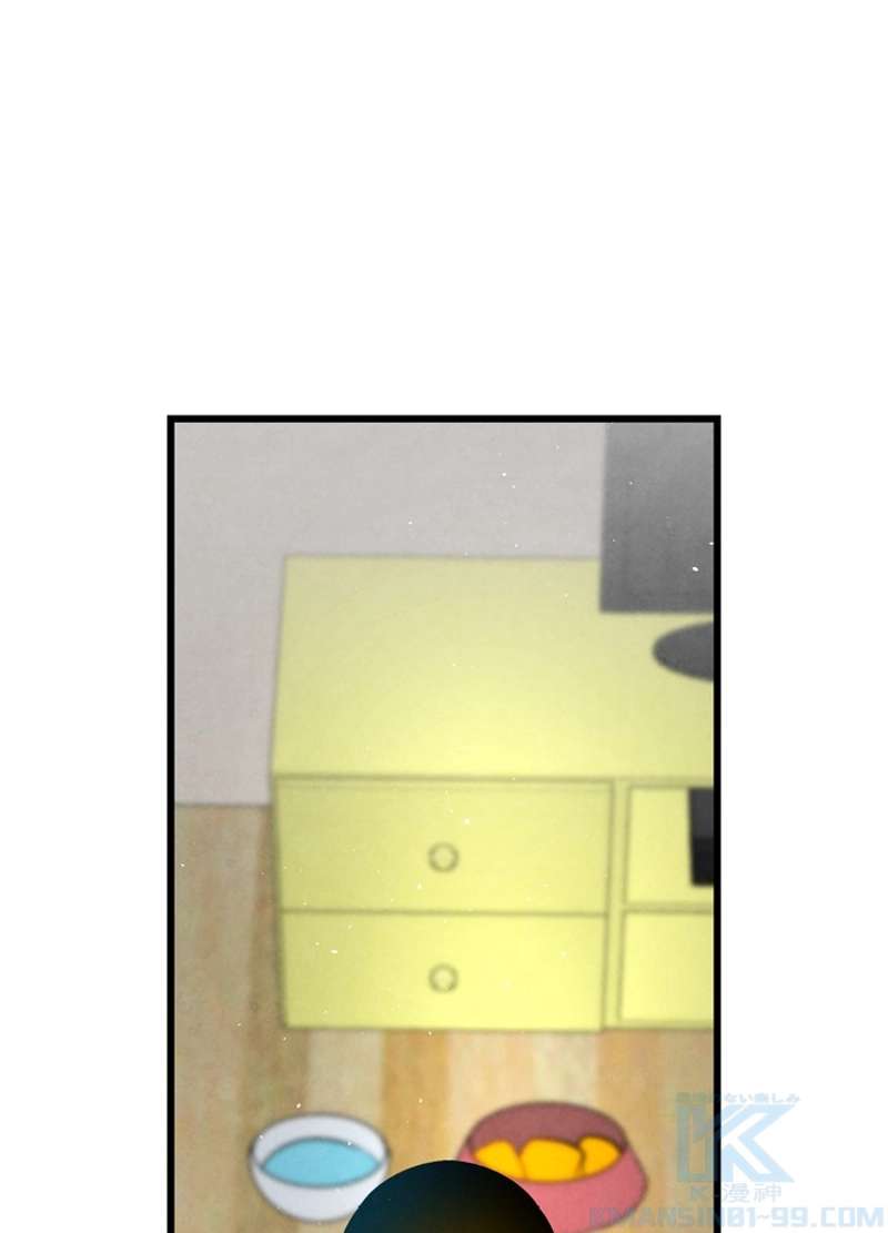 P65