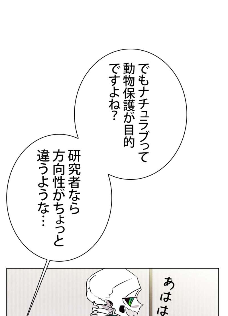 P54