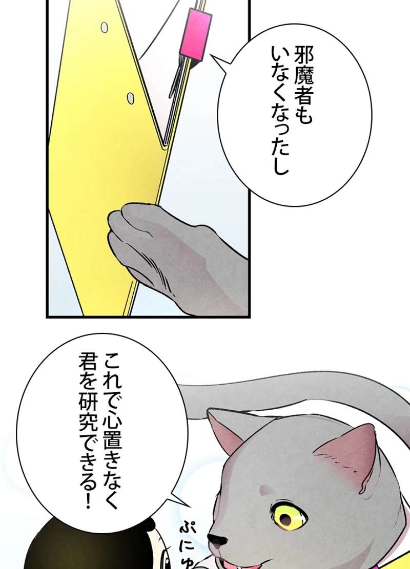 P87