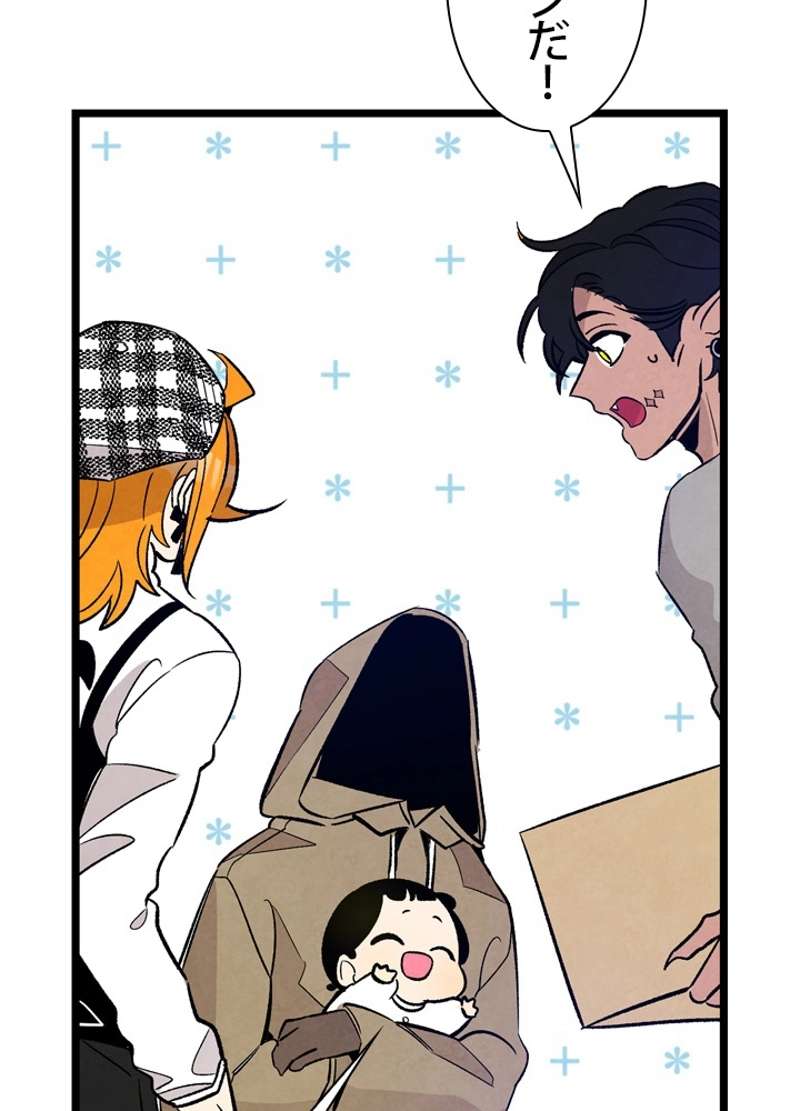 P66