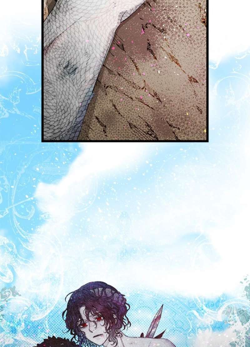 P63