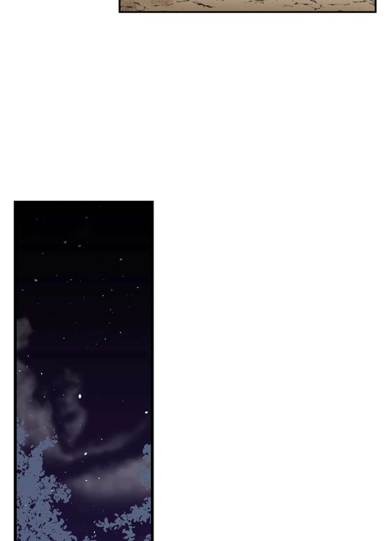 P66