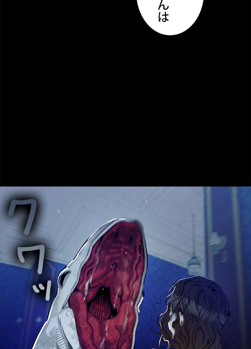 P63