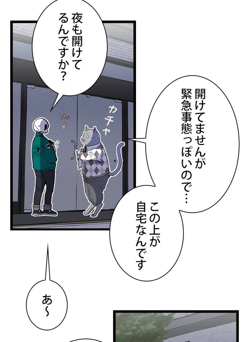 P51
