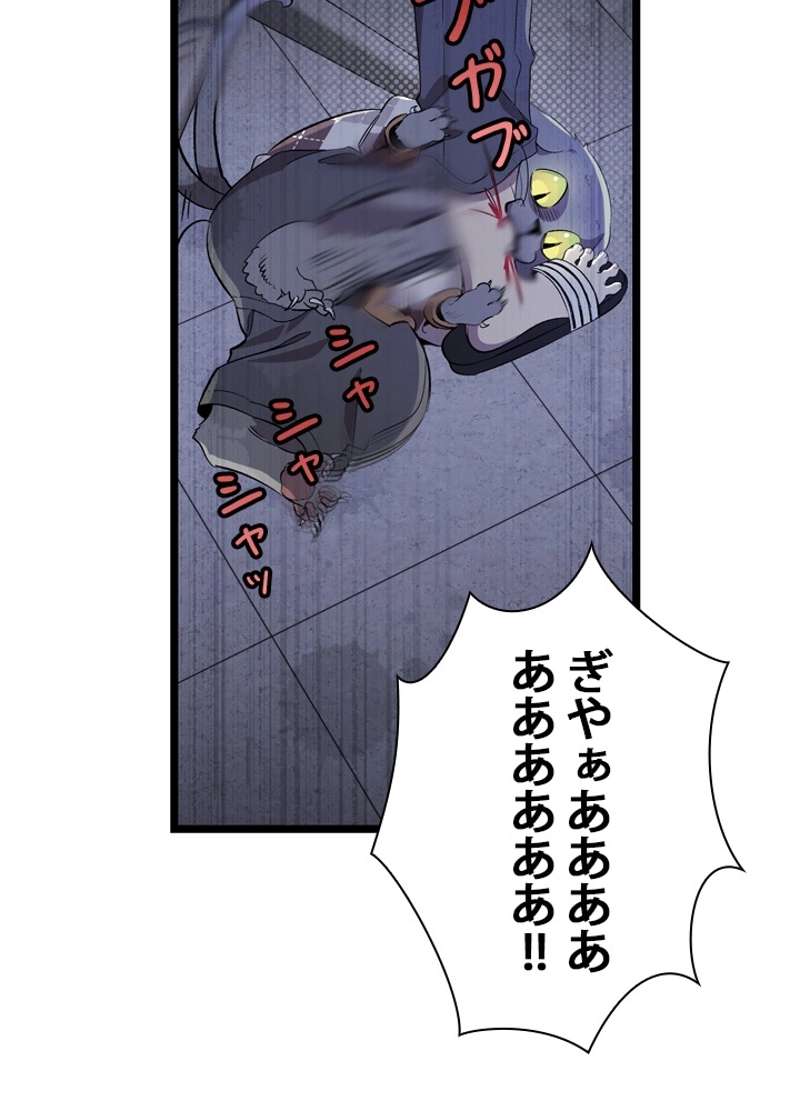P54