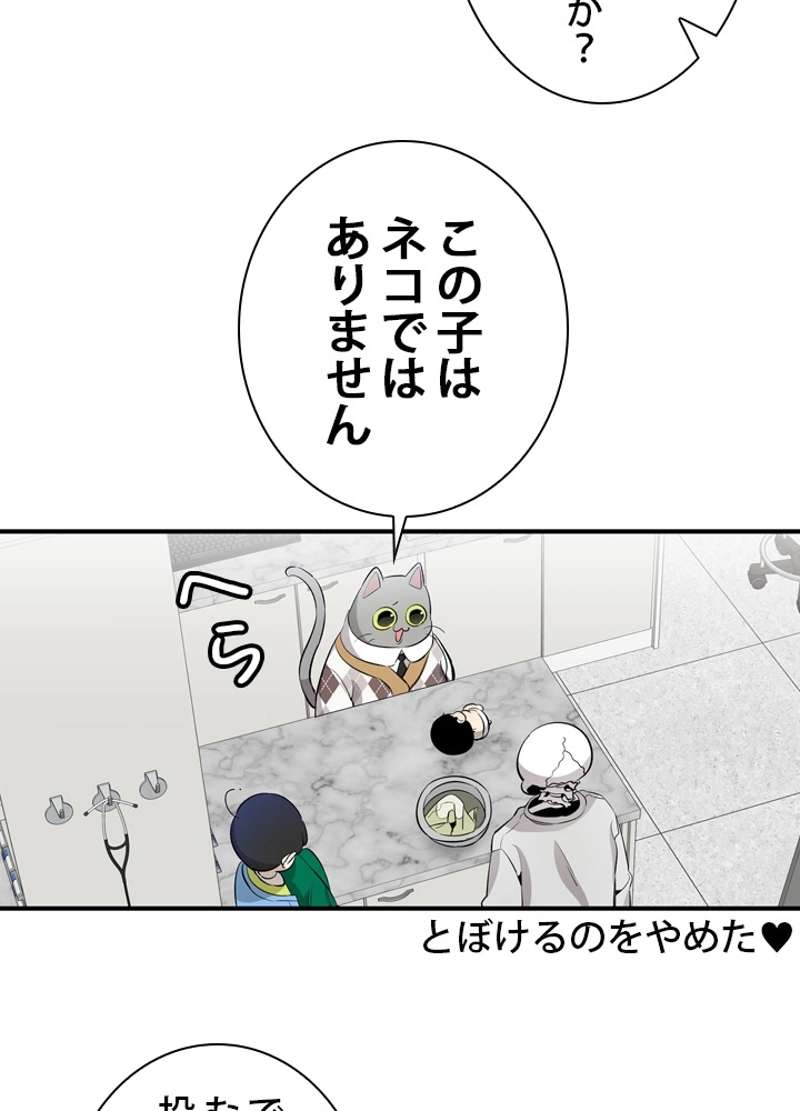 P61