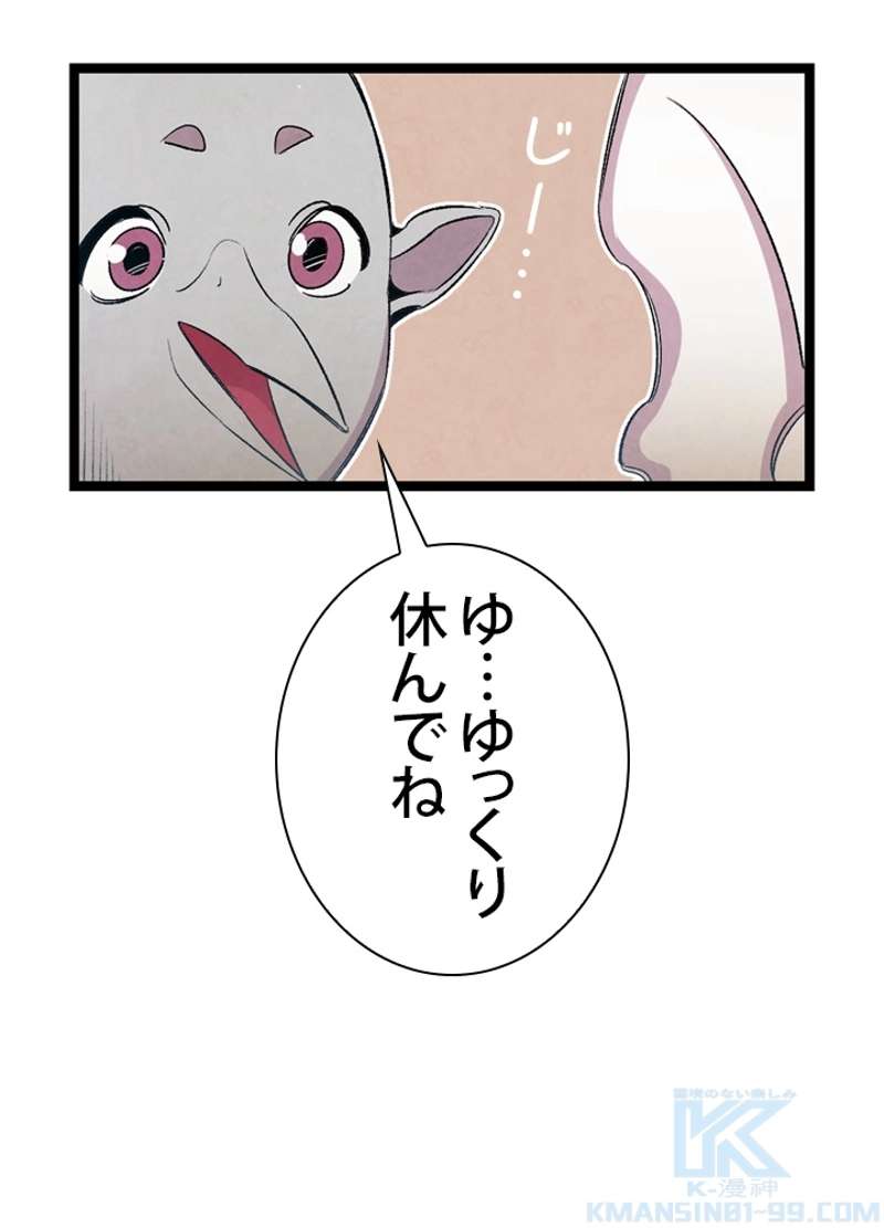 P41