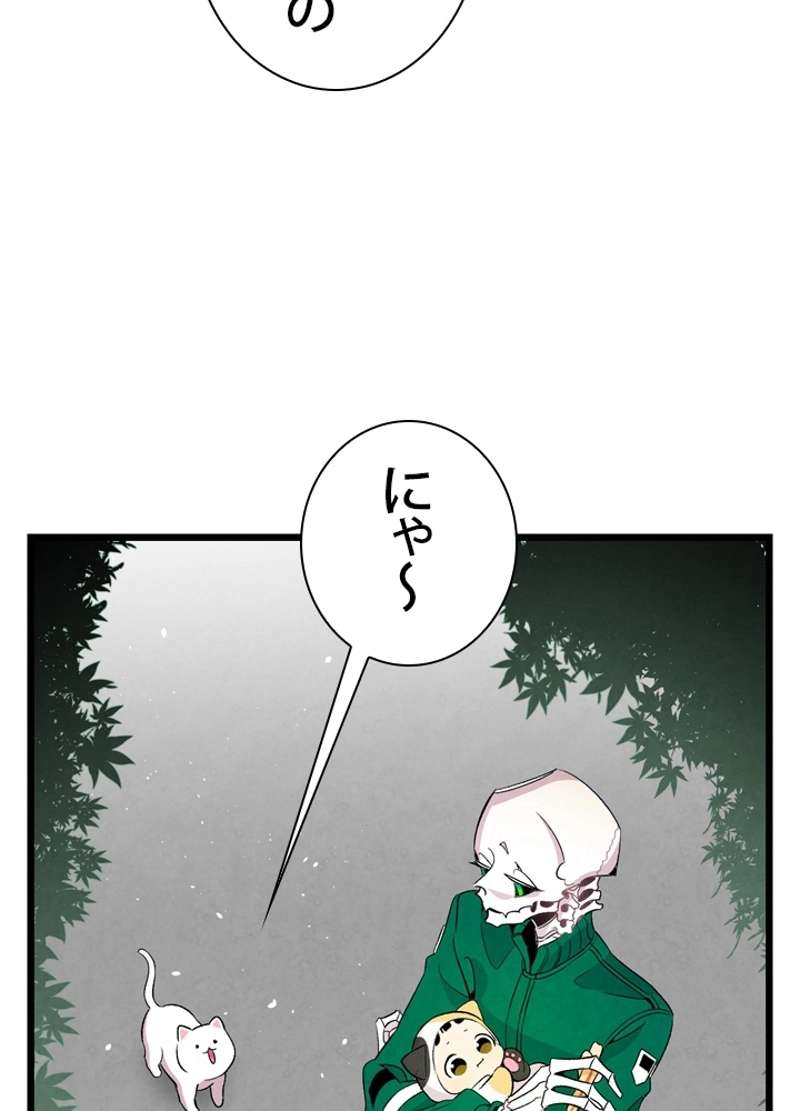 P61