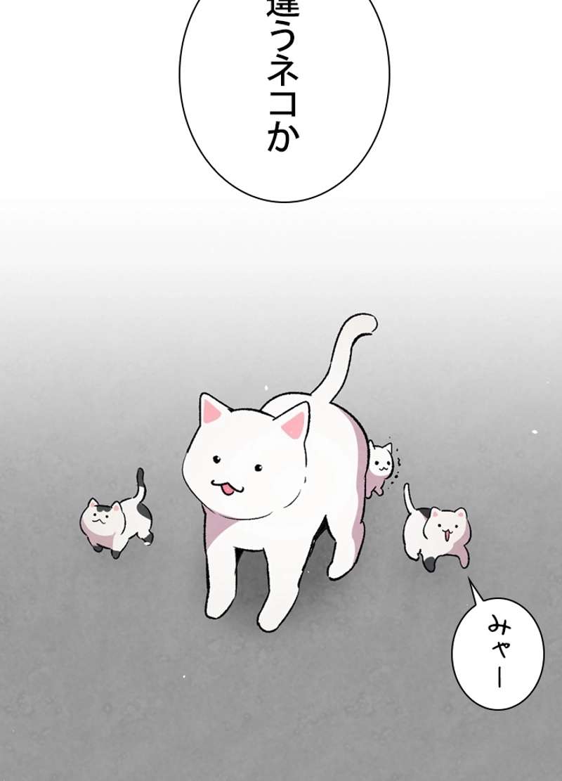 P63