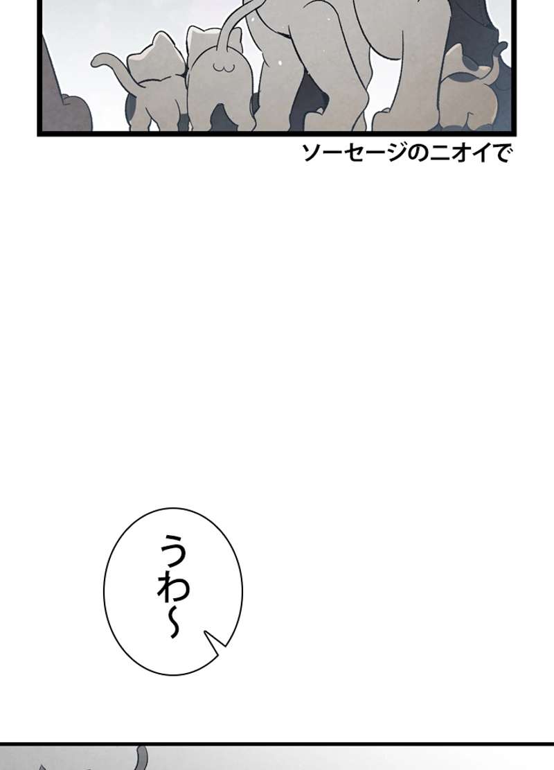 P66