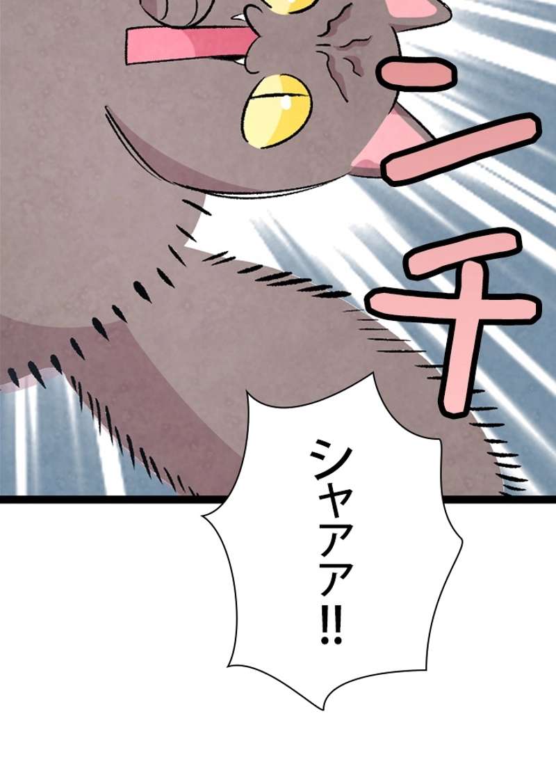 P72