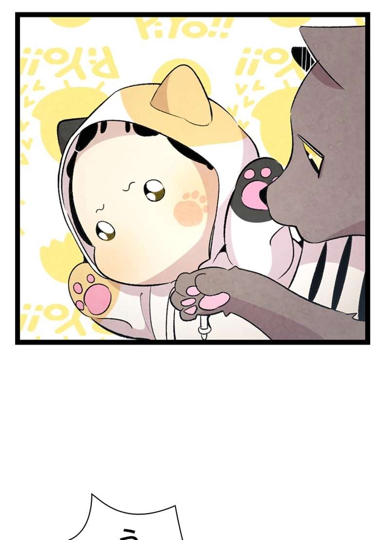 P73