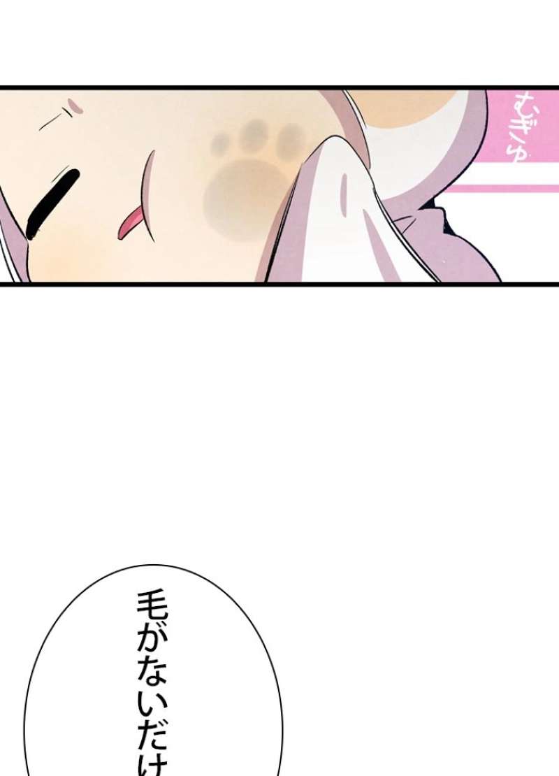 P82