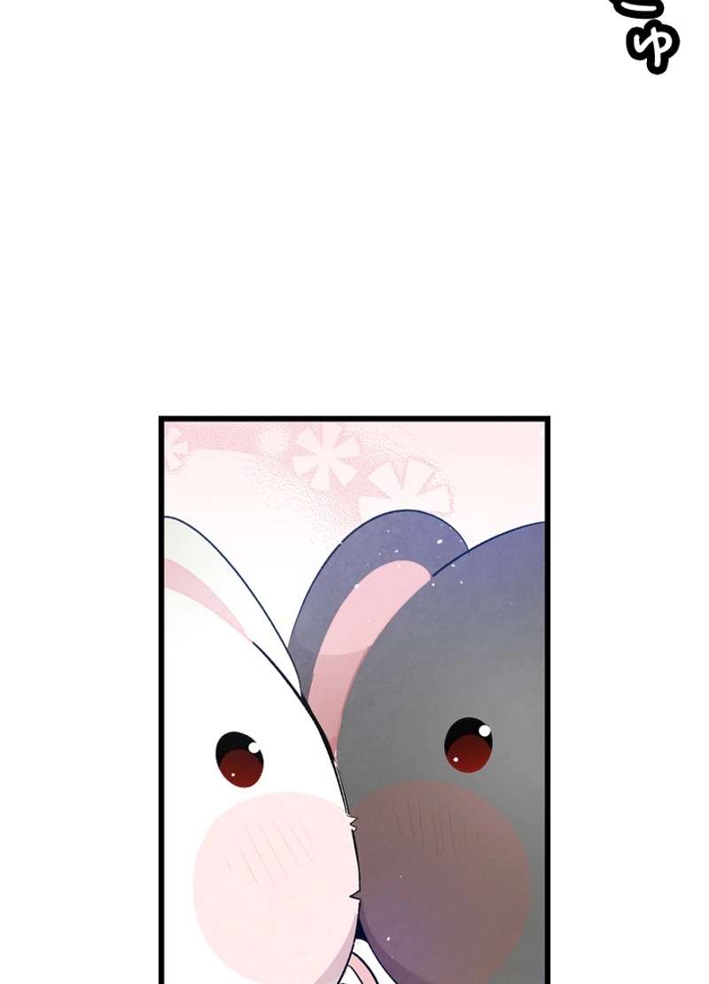 P58