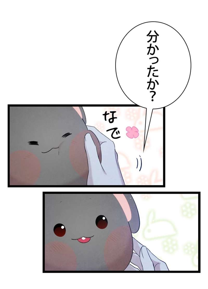 P61