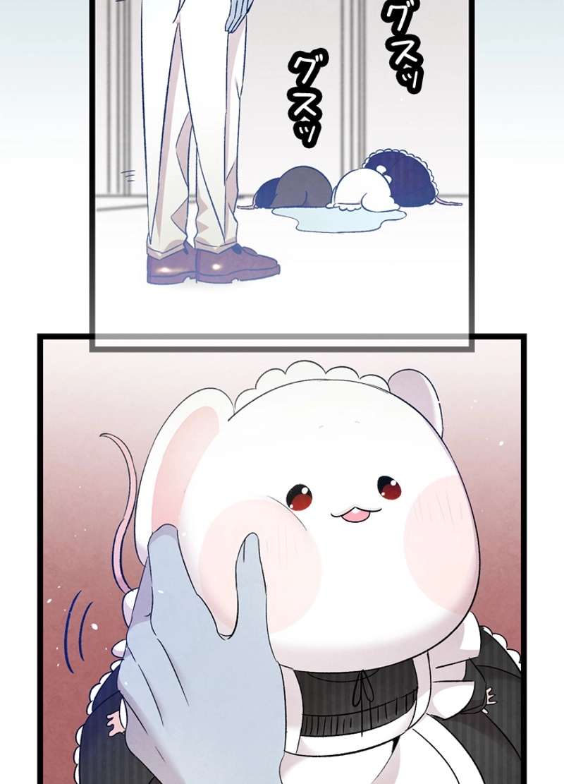 P66