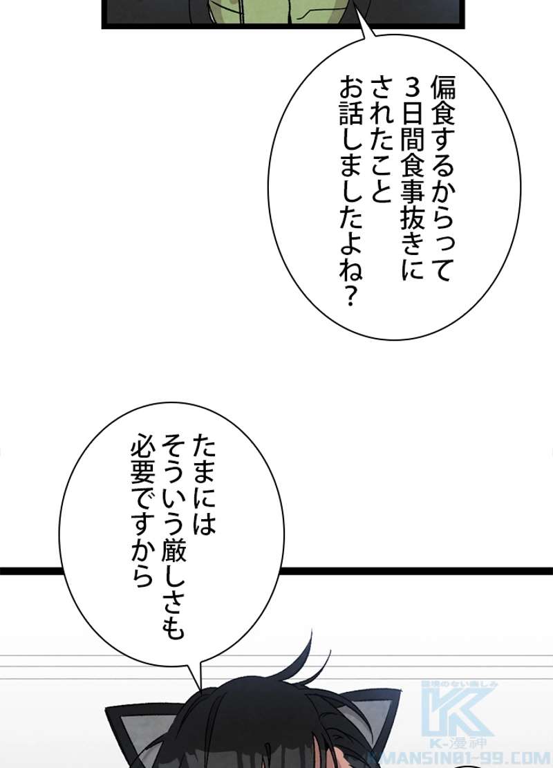 P53