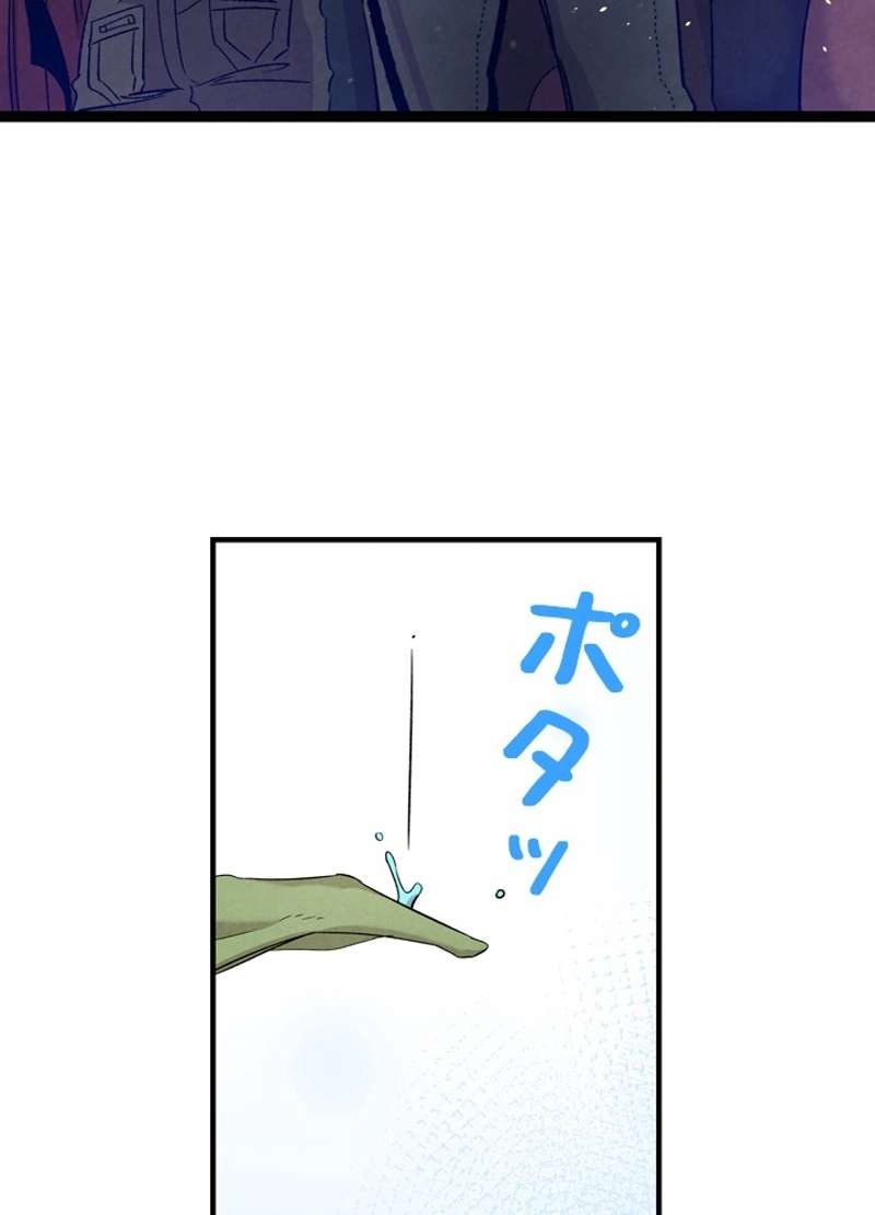 P66