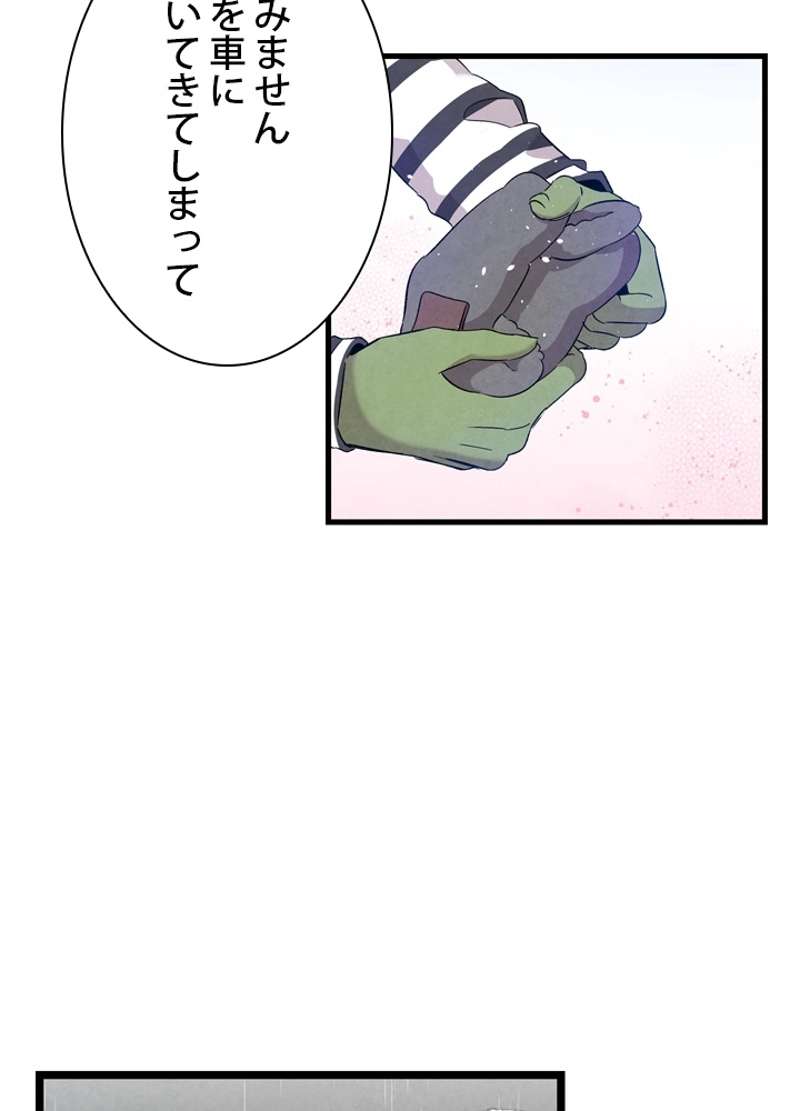 P73