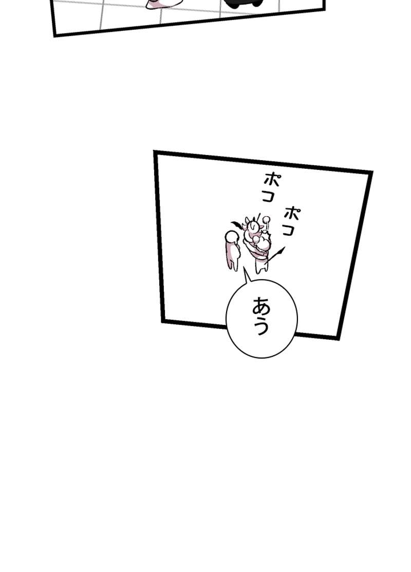 P63