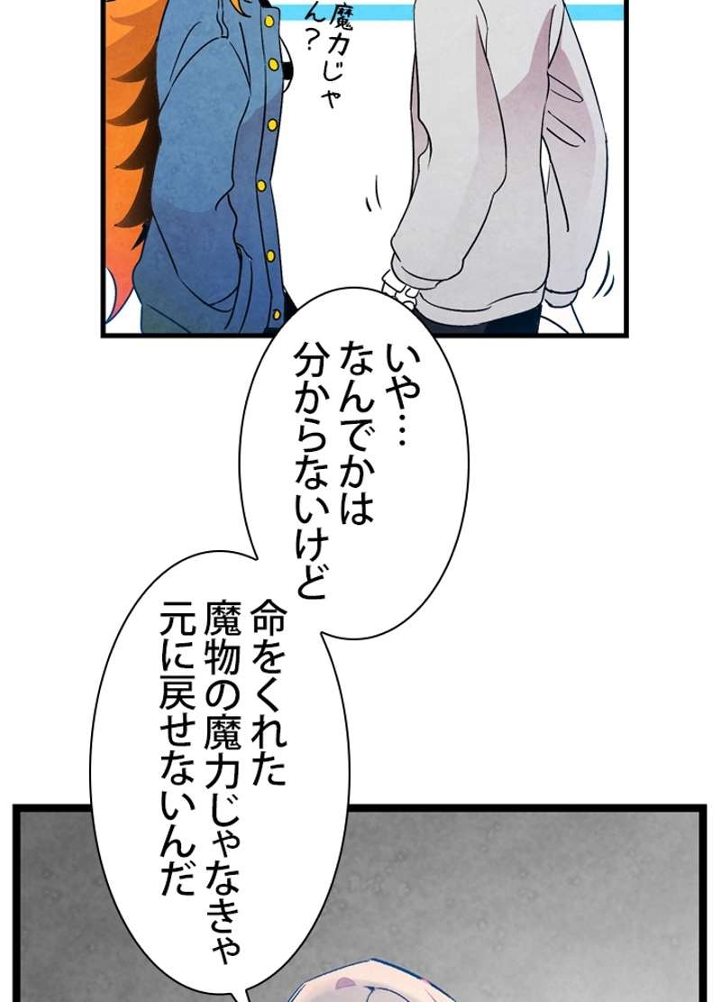 P58