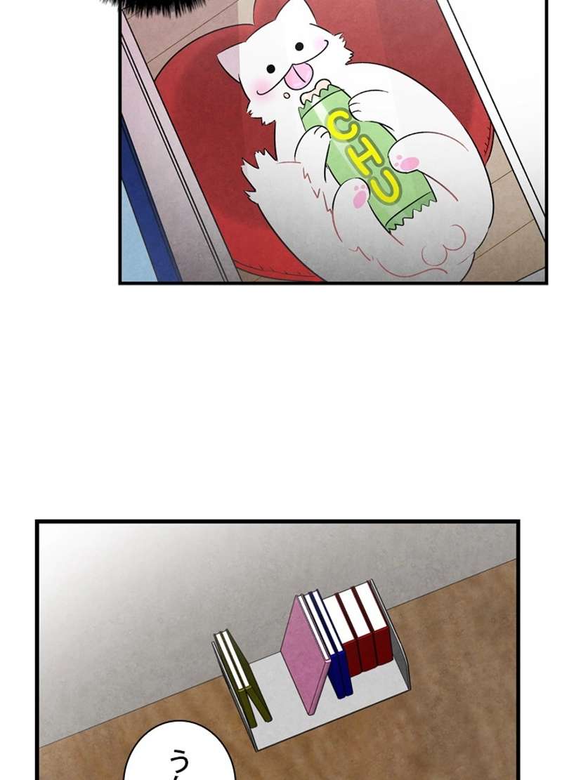P66