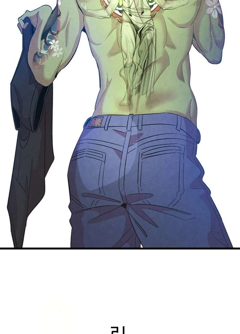P48