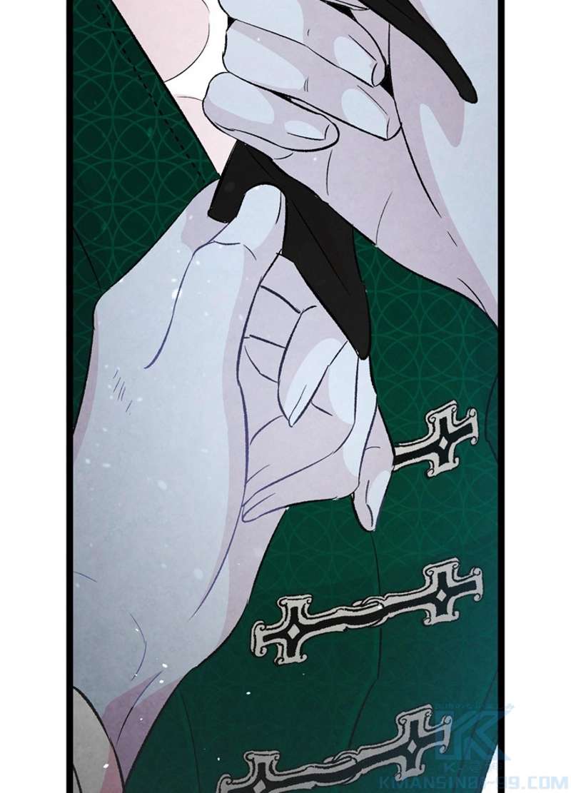 P53