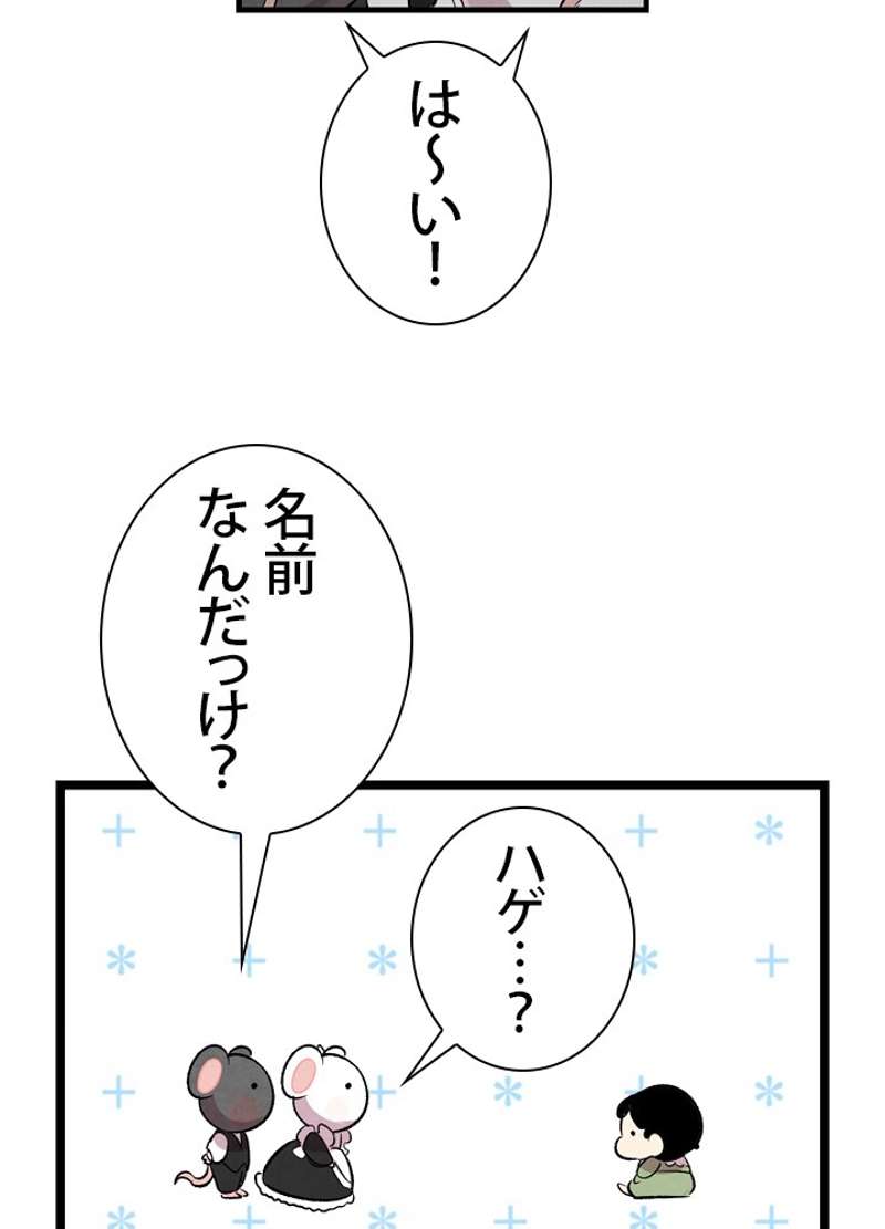P84