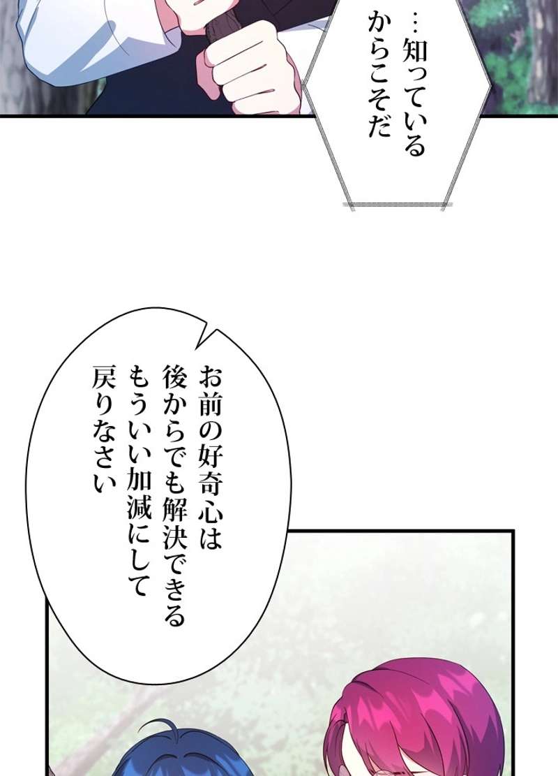 P66