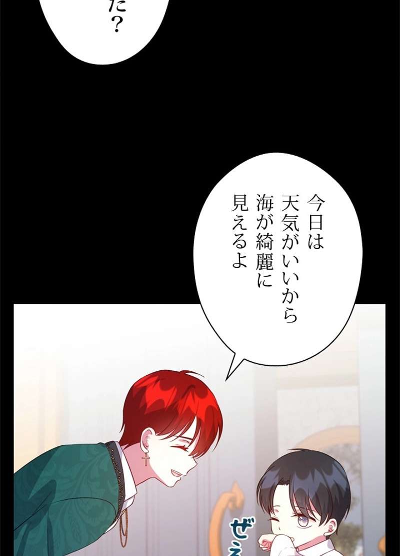 P53