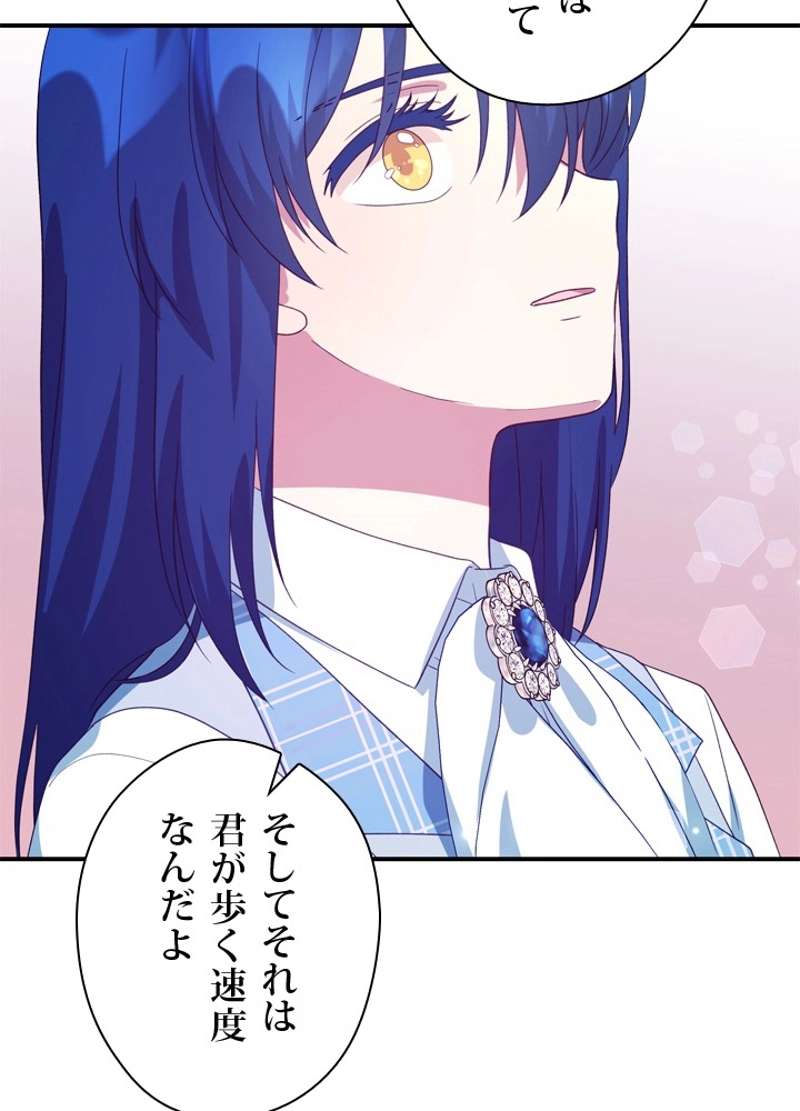 P66