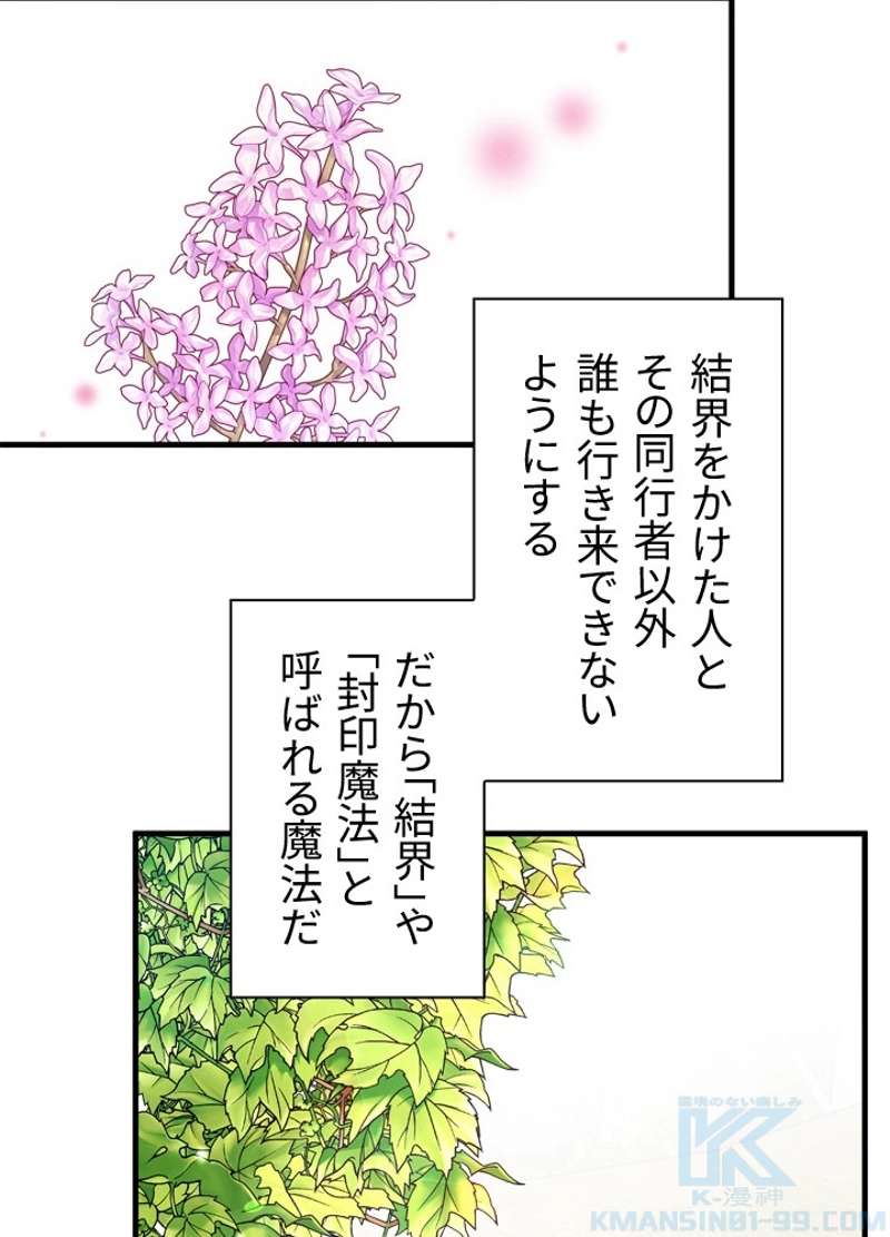 P58