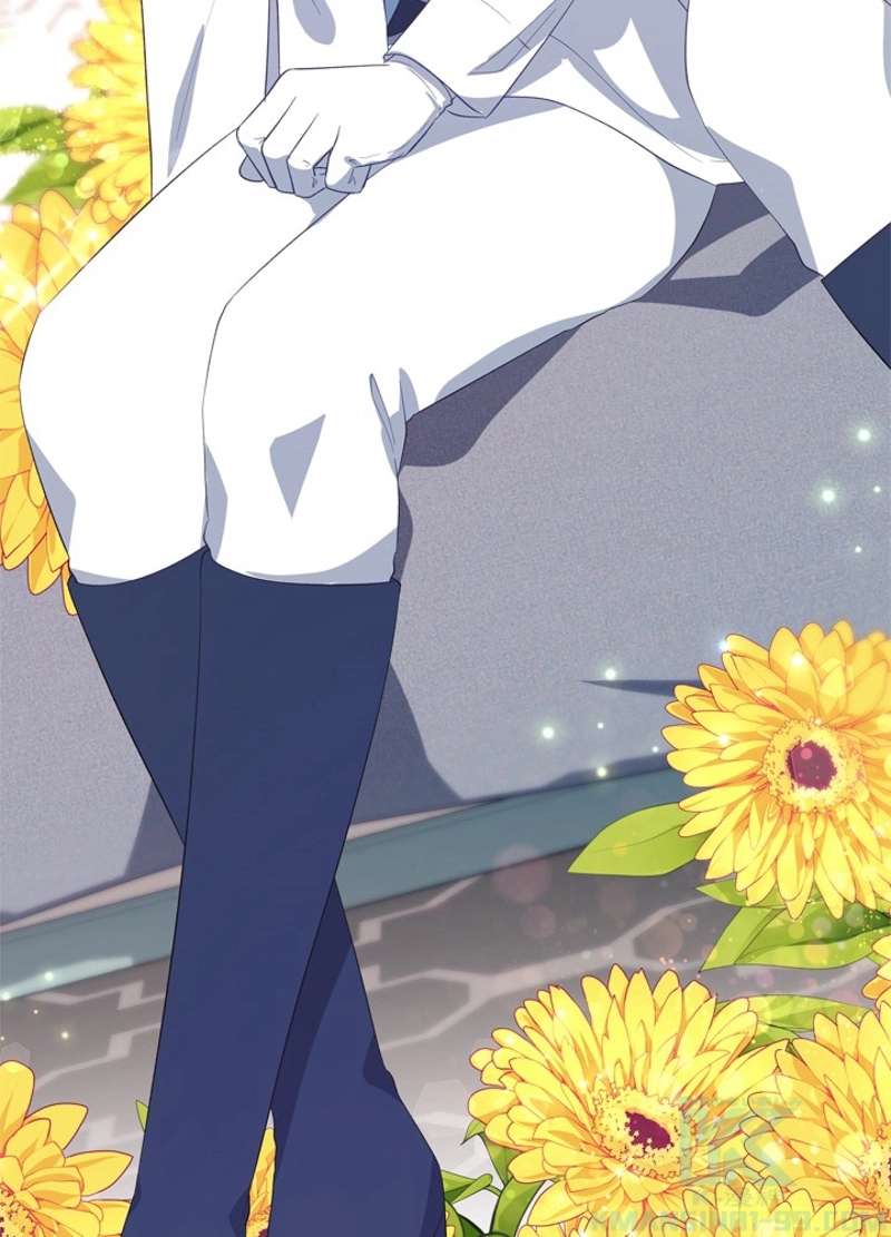 P88