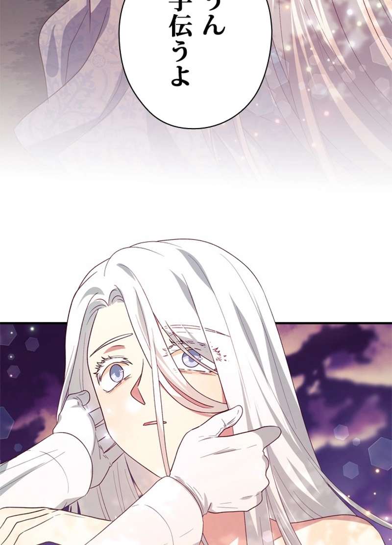 P66