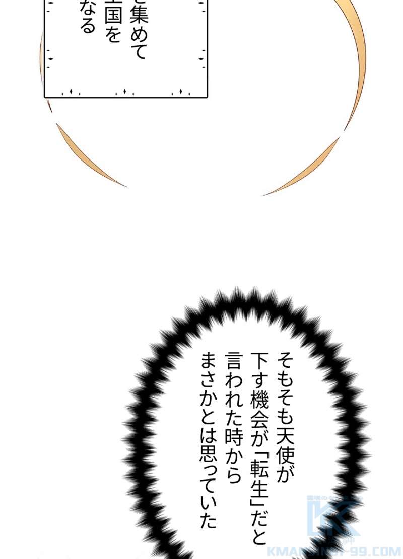 P61