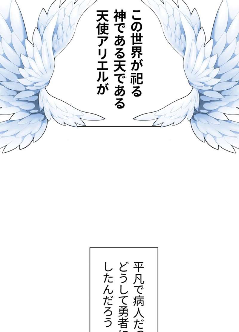 P66