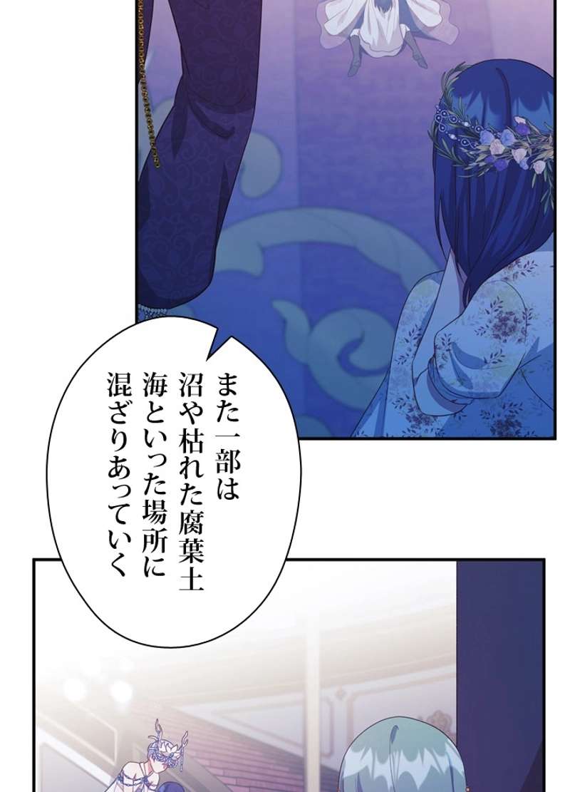 P63