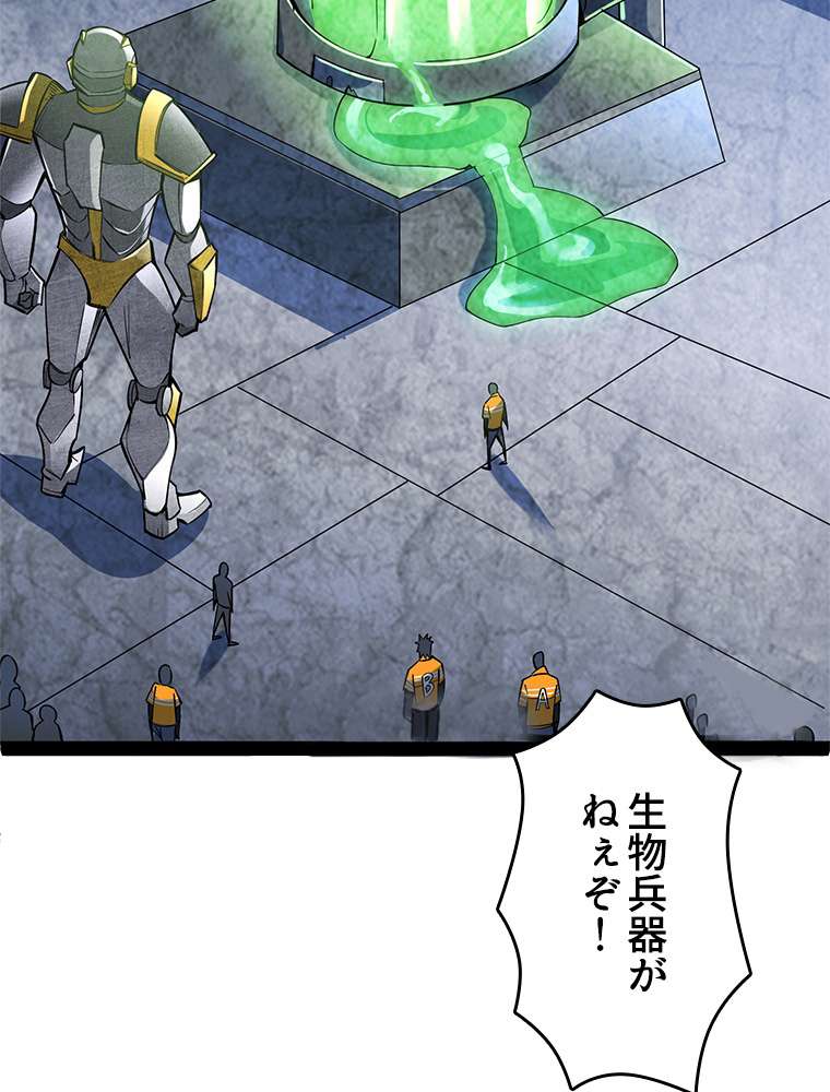 P66