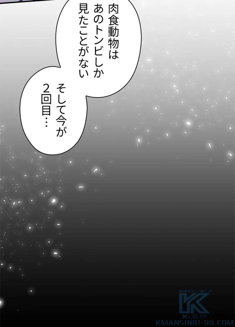 P67