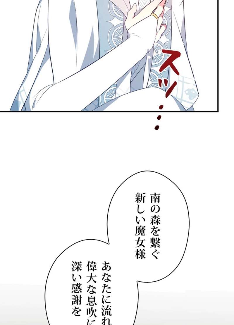 P81