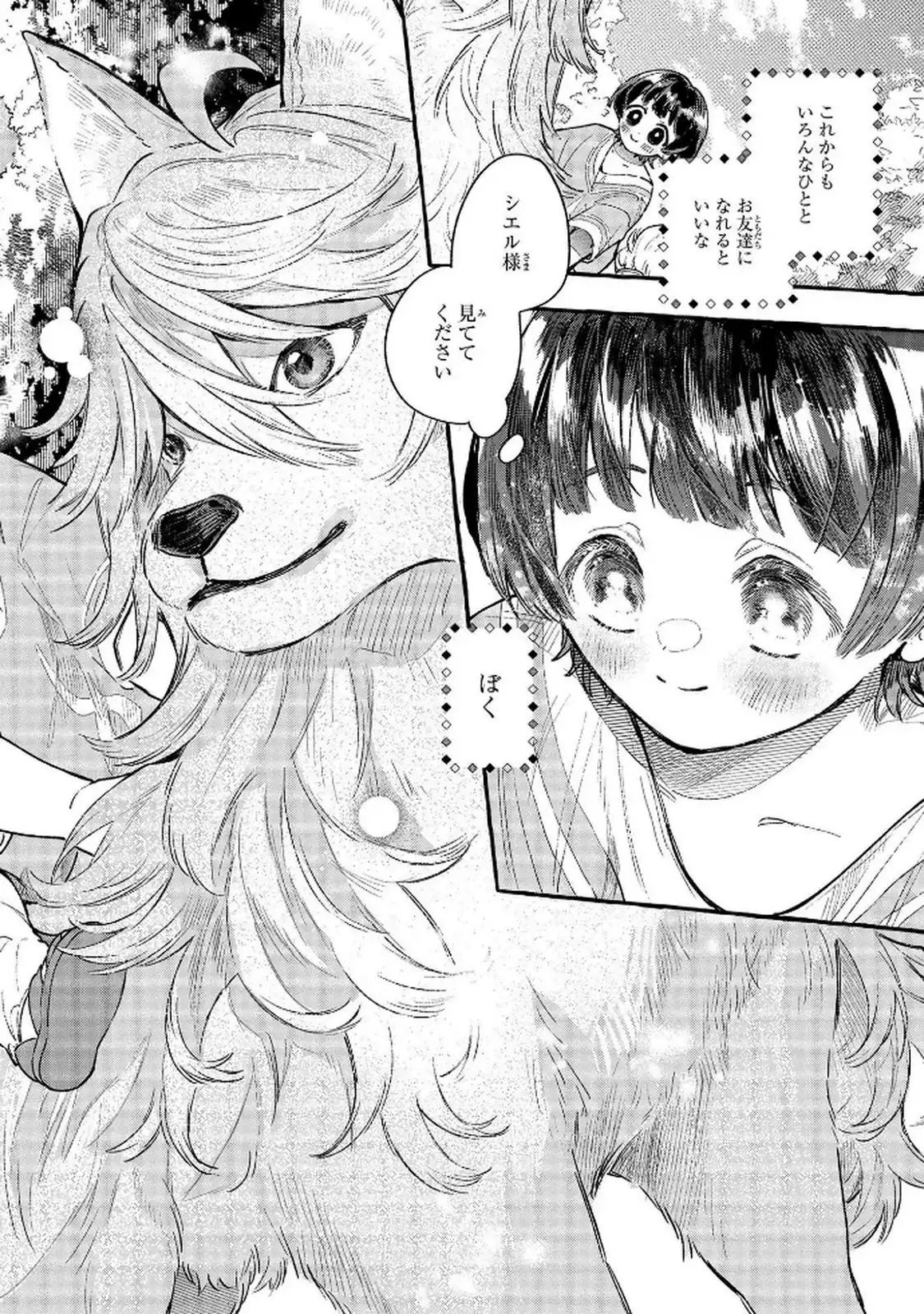 P58