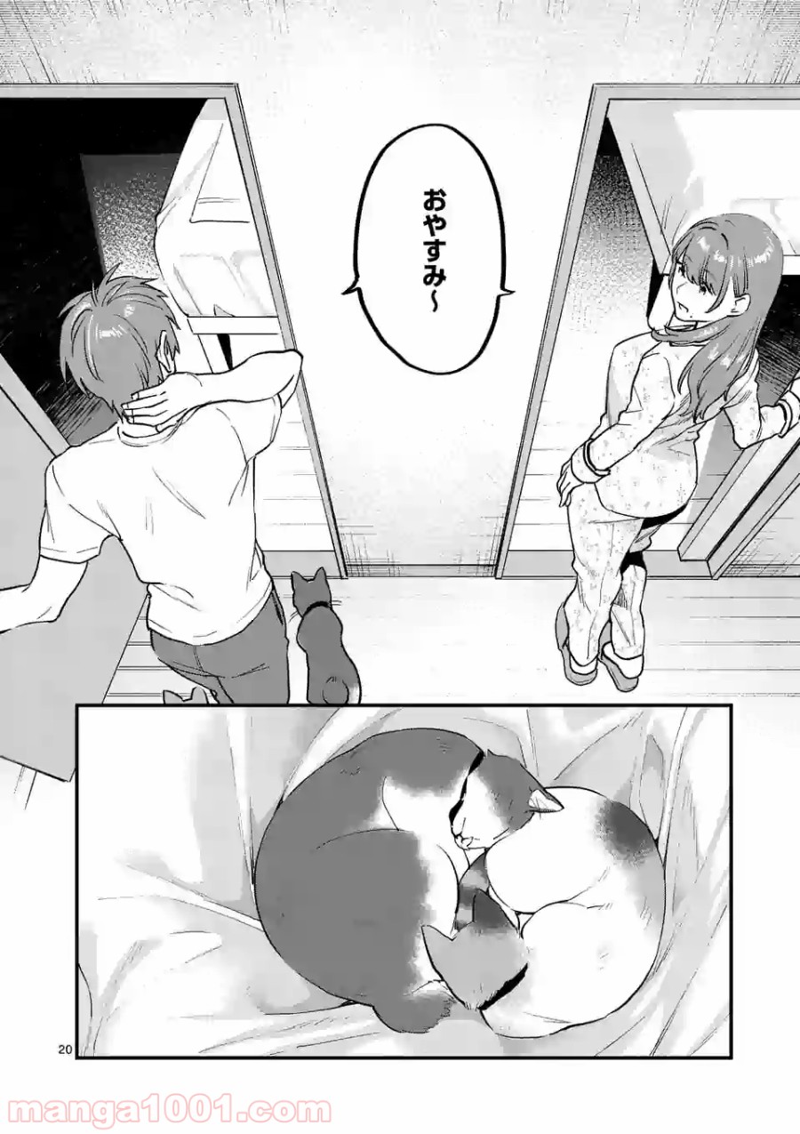 P20