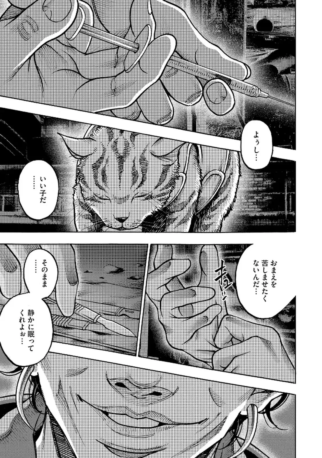 P31