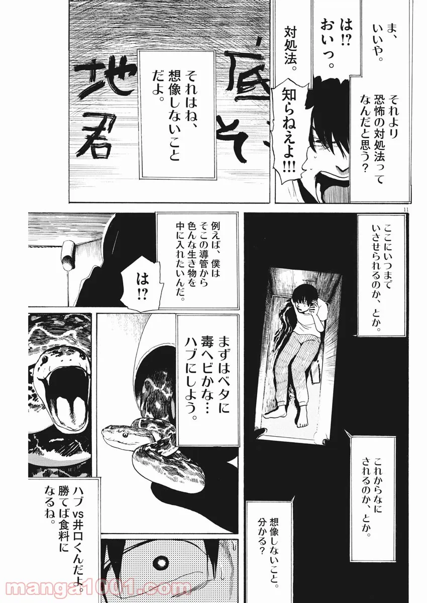 P11