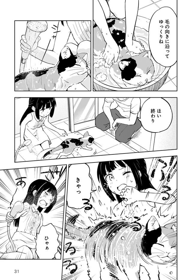 P31