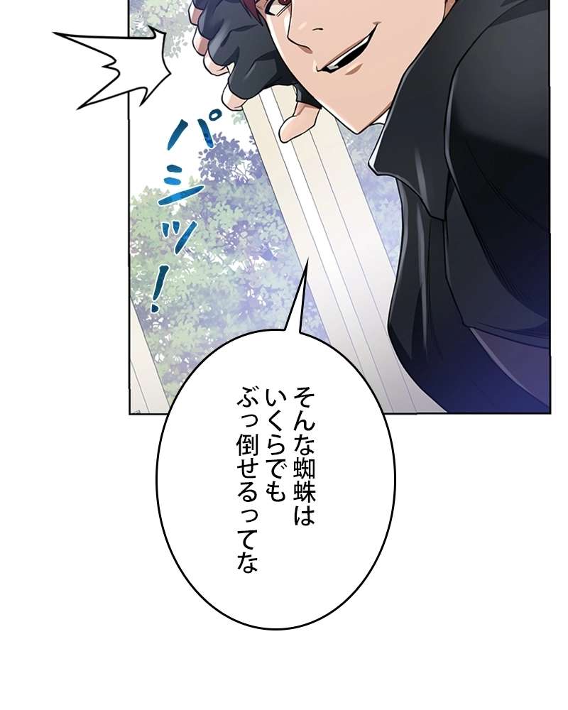 P66